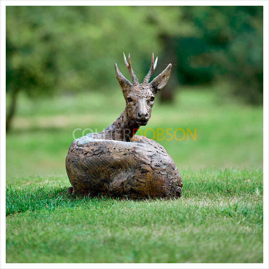 Roe Buck Lying Down by Hamish Mackie