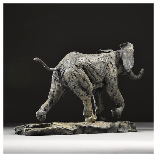 Elephant Calf Bold - bronze sculpture