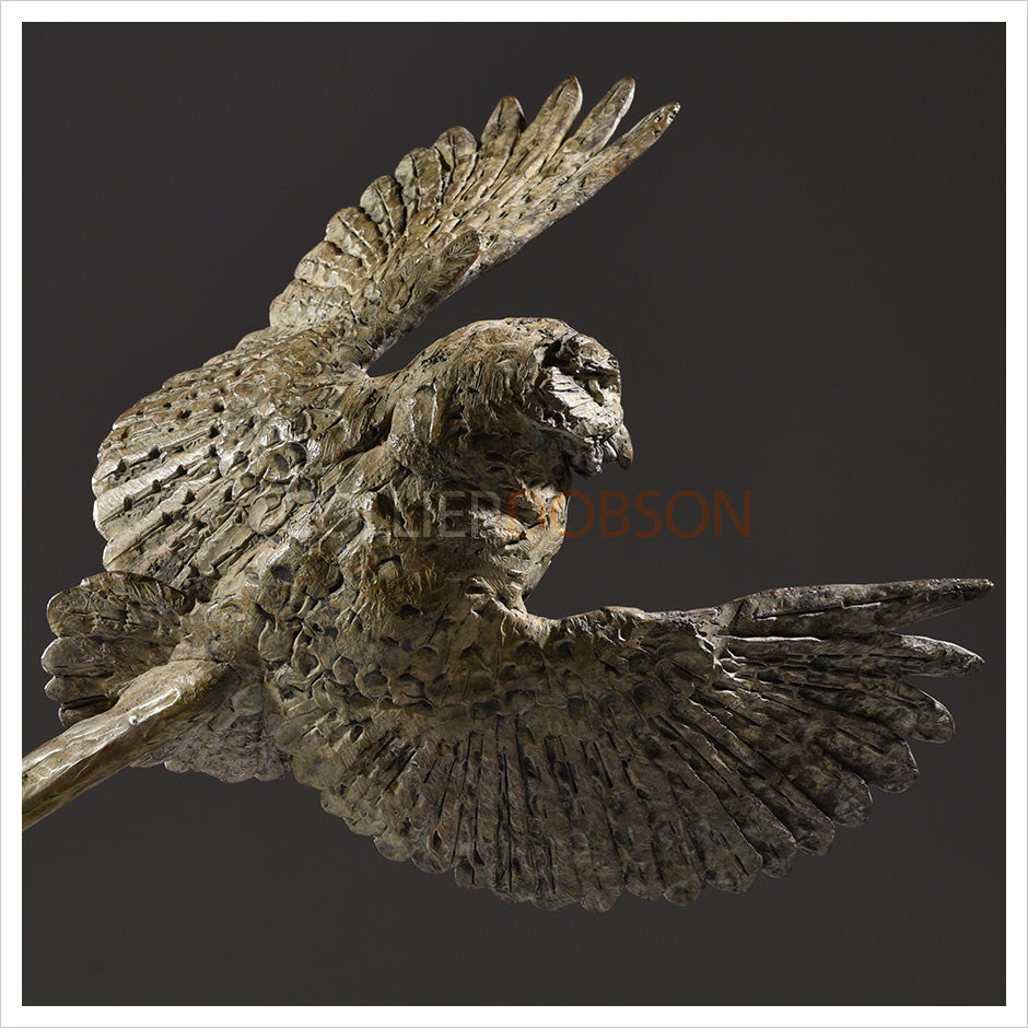 Little Owl II by Hamish Mackie