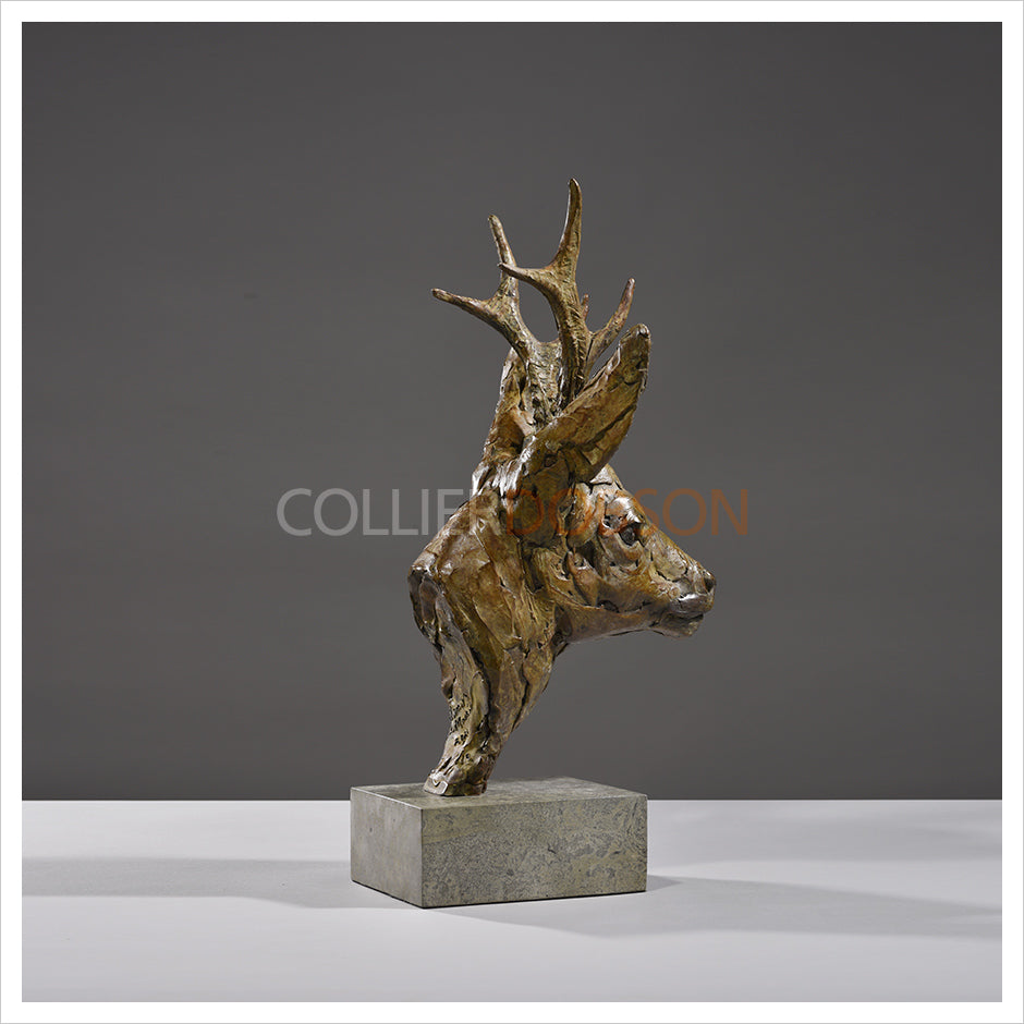 Roe Buck Head by Hamish Mackie