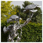 Turtles - Stainless Steel by Hamish Mackie