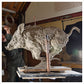 Wild Boar Life Size - Legs Under by Hamish Mackie