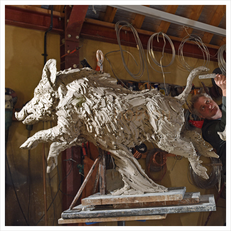 Wild Boar Life Size - Legs Out by Hamish Mackie