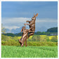 Hares Monumental by Hamish Mackie