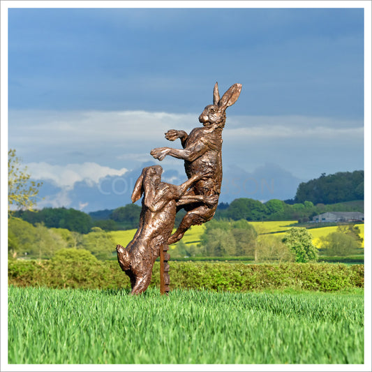 Hares Monumental by Hamish Mackie