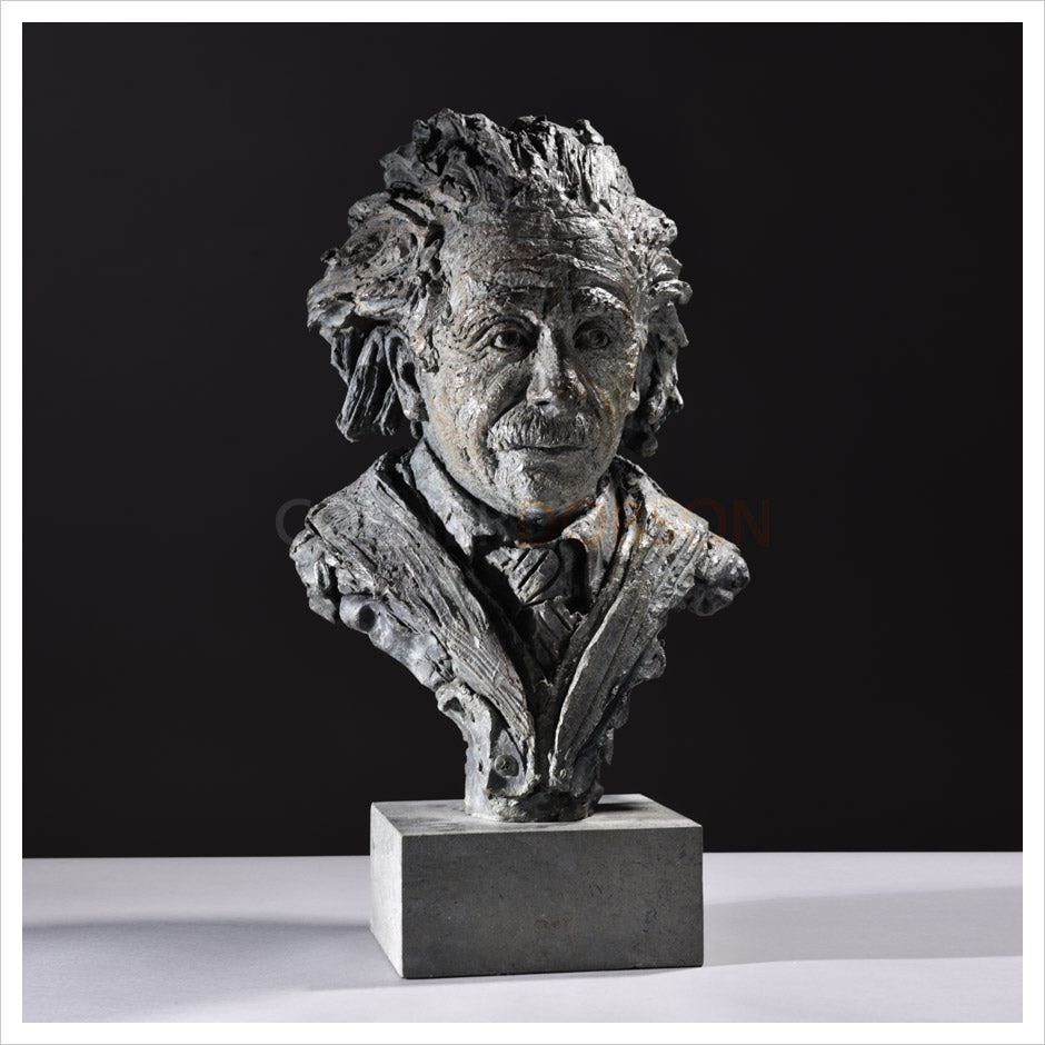 Albert Einstein by Hamish Mackie