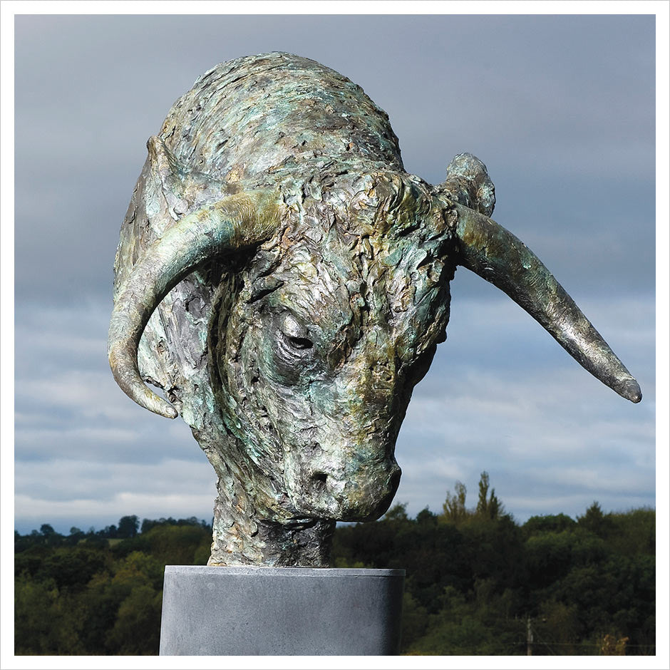 Bull Head by Hamish Mackie