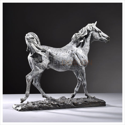 Arabian Horse by Hamish Mackie