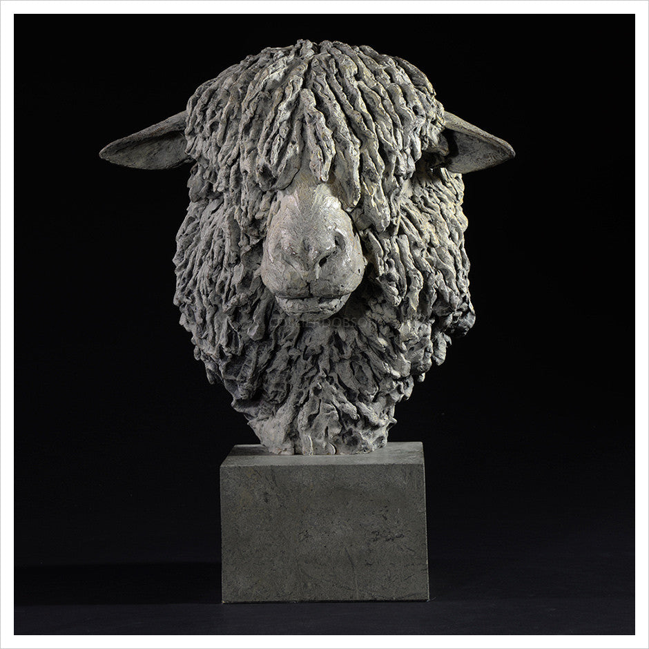 Cotswold Ram Head by Hamish Mackie