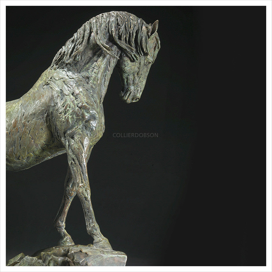 Goodman's Andalusian Stallion - Scale 1:7 by Hamish Mackie
