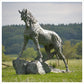 Goodman's Andalusian Stallion by Hamish Mackie
