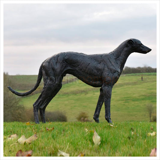 Greyhound 2022 by Hamish Mackie