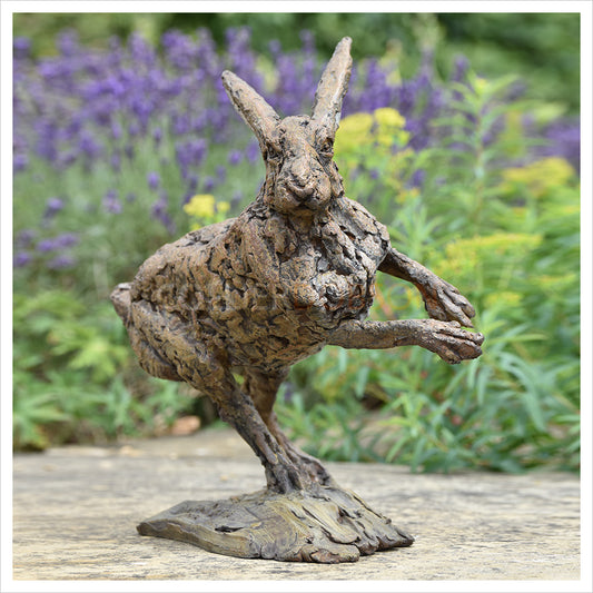 Hare Running 2022 by Hamish Mackie