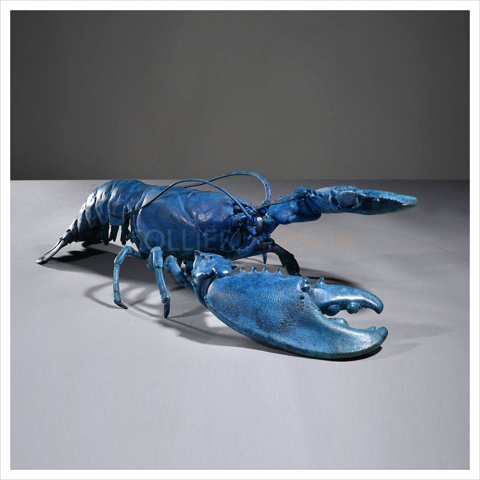 Lobster 2023 by Hamish Mackie