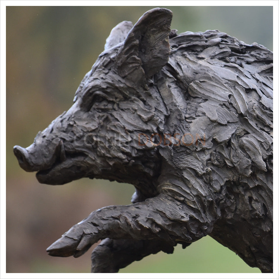 Wild Boar Life Size - Legs Out by Hamish Mackie