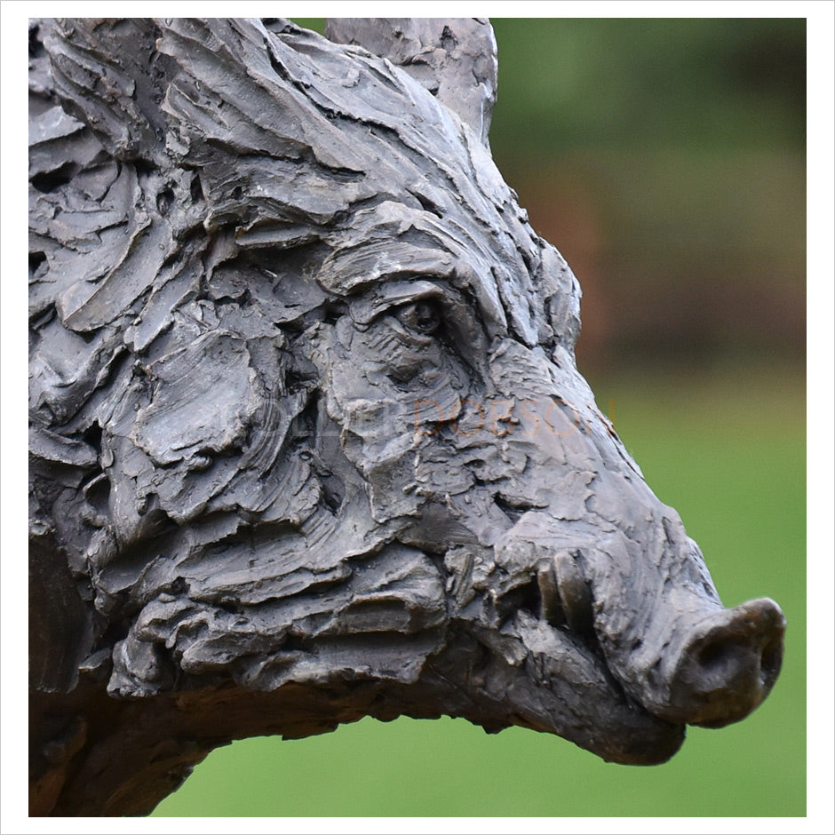 Wild Boar Life Size - Legs Under by Hamish Mackie