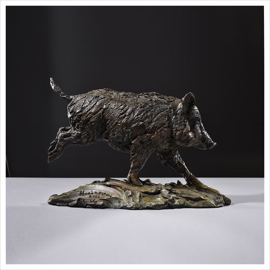 Wild Boar Sow (Bachen) by Hamish Mackie
