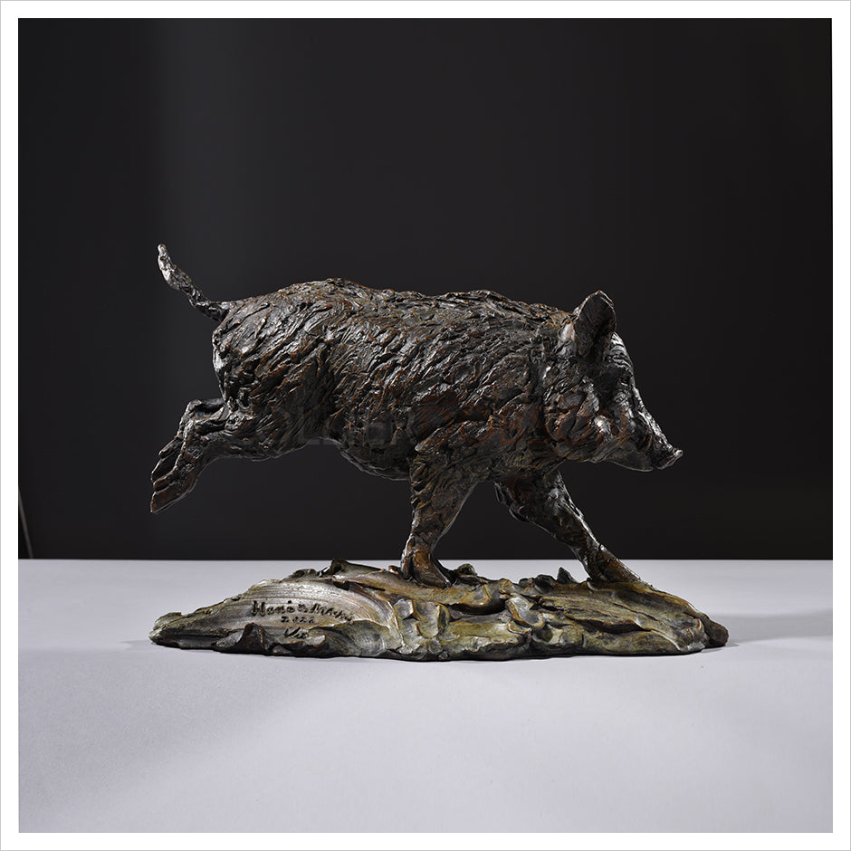 Wild Boar Sow (Bachen) by Hamish Mackie