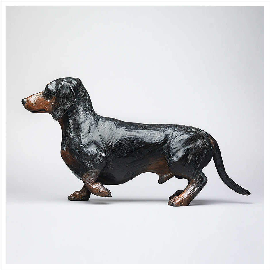 Daschund by Jenna Gearing