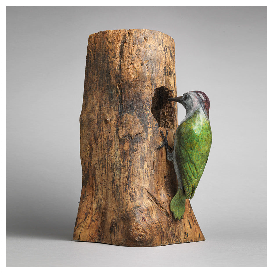 Woodpecker by Jenna Gearing