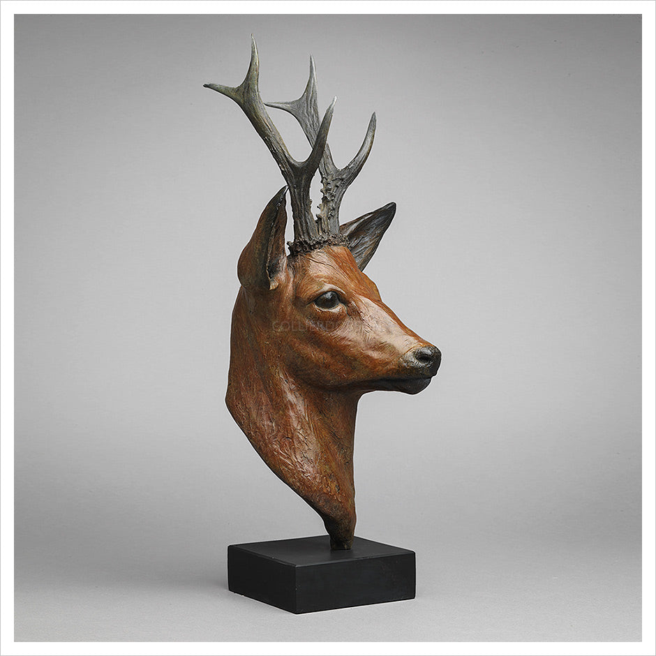 Roe Buck by Jenna Gearing