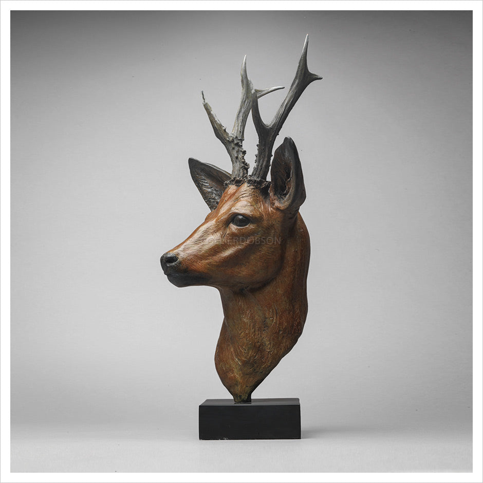 Roe Buck by Jenna Gearing