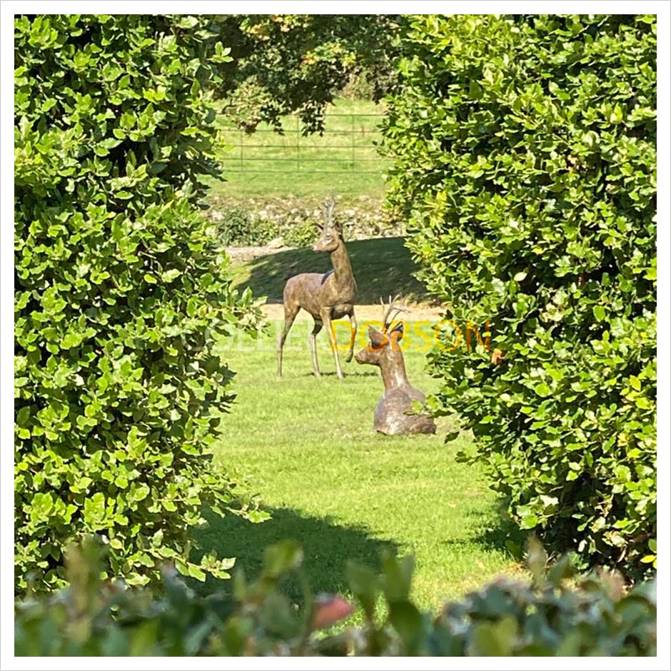 Roe Buck Standing by Jenna Gearing with Sitting Roe Buck by Jenna Gearing 