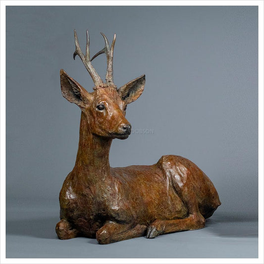 Sitting Roe Buck by Jenna Gearing