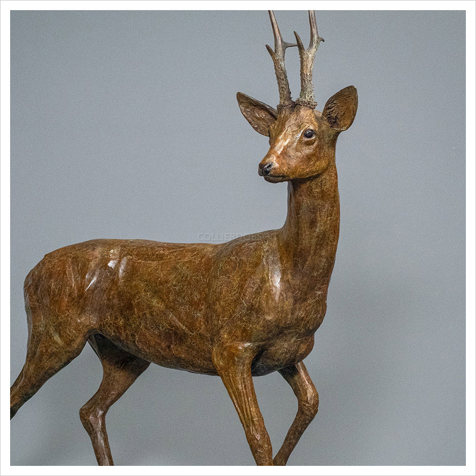 Roe Buck Standing - Life Size by Jenna Gearing