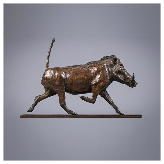 Warthog by Jenna Gearing