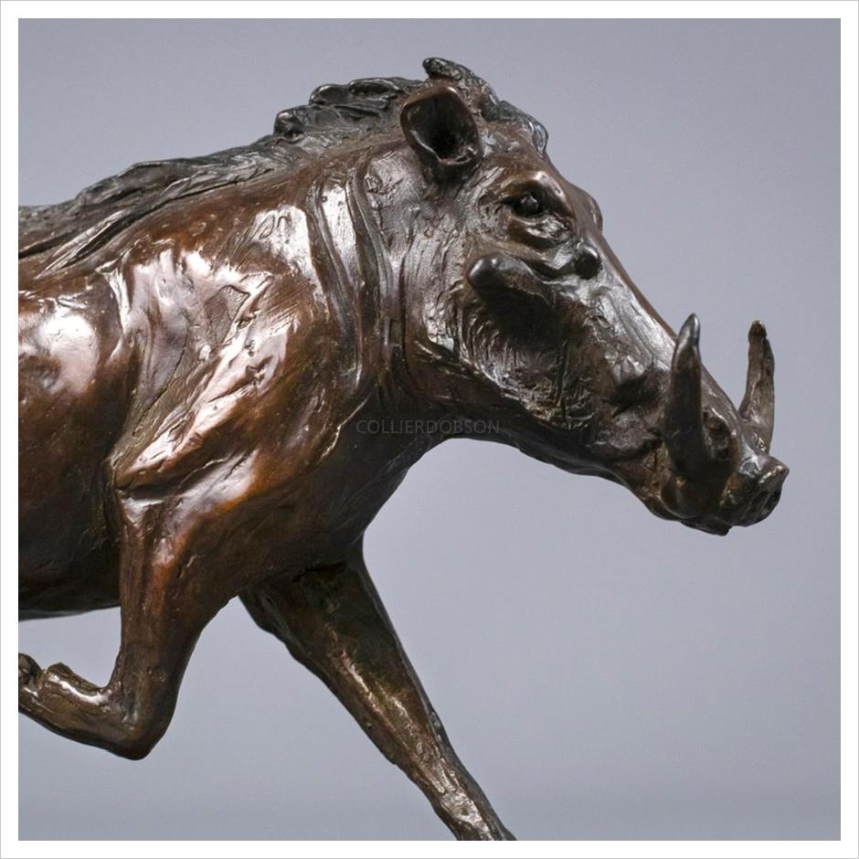 Warthog by Jenna Gearing