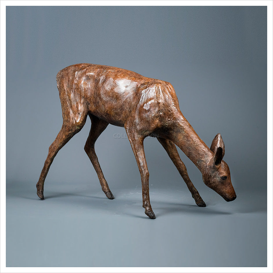 Roe Doe Grazing by Jenna Gearing