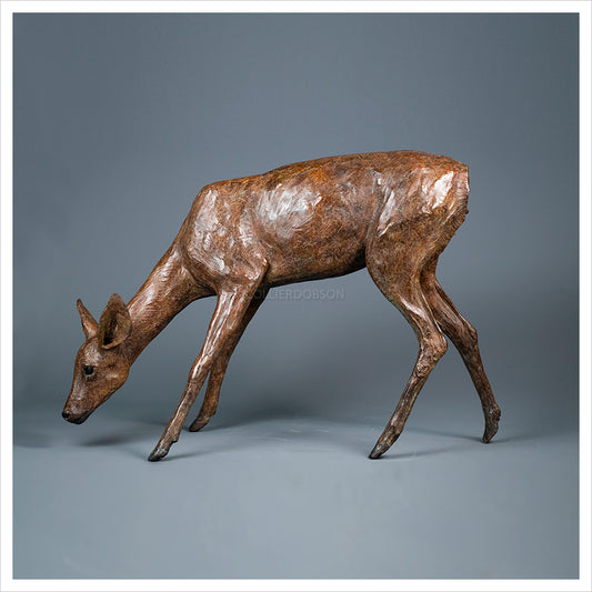 Roe Doe Grazing by Jenna Gearing