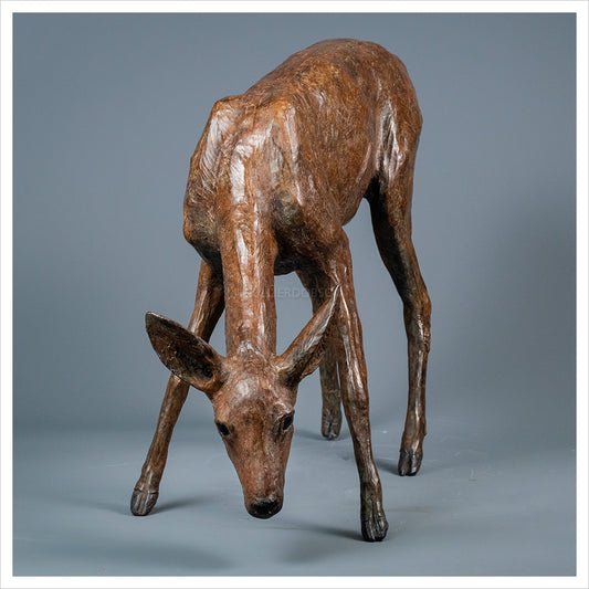 Roe Doe Grazing by Jenna Gearing