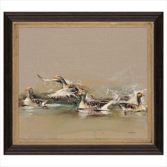 Greylag Geese by Josie Appleby