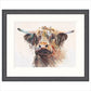 Cool Highland by jake Winkle