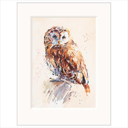 Tawny Owl by Jake Winkle