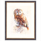 Tawny Owl  by Jake Winkle