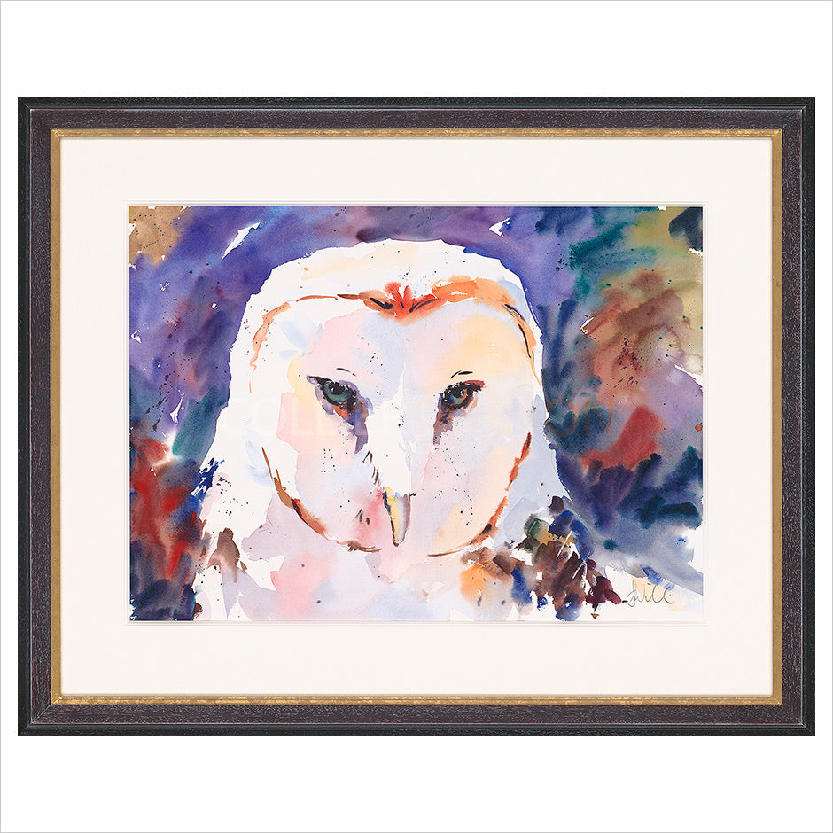 Dappled Barn Owl by Jake Winkle