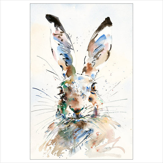 Hare Brained by Jake Winkle