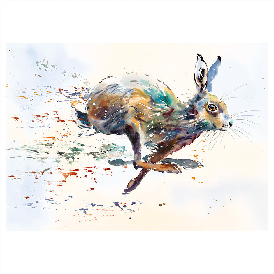 Hare Spray by Jake Winkle
