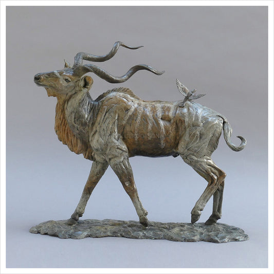 Kudu by William Montgomery
