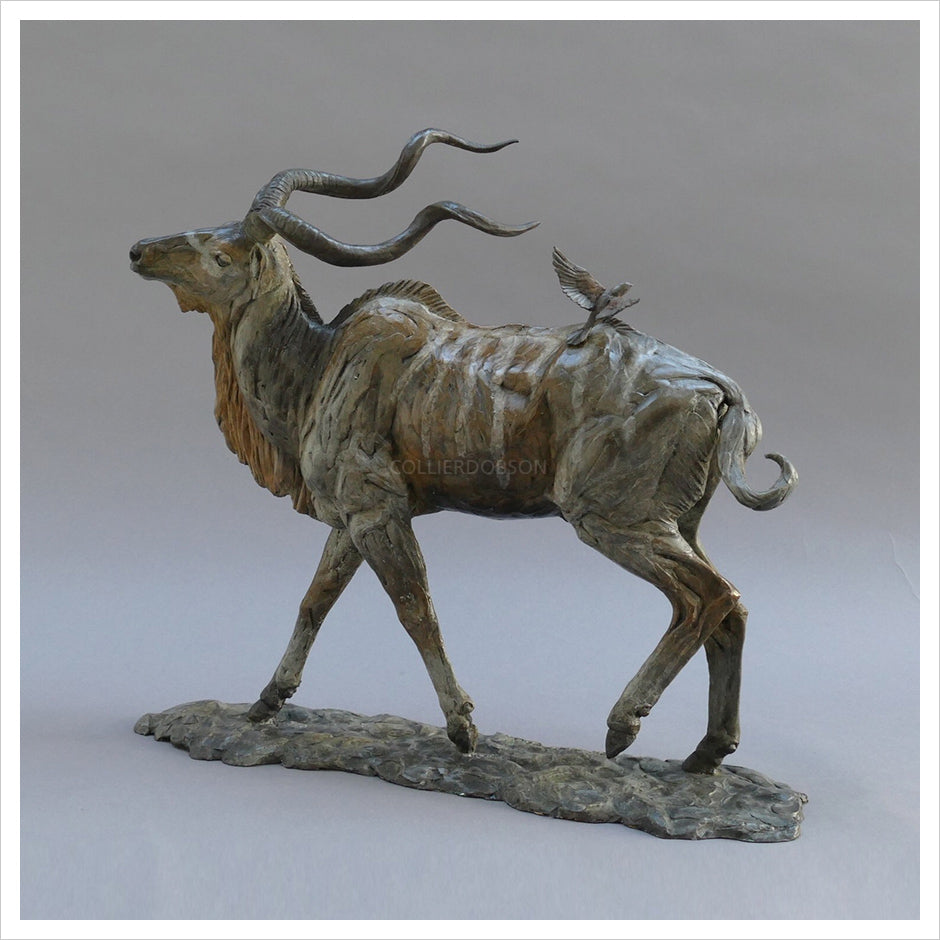 Kudu by William Montgomery