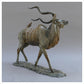 Kudu by William Montgomery