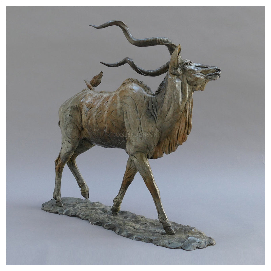 Kudu by William Montgomery