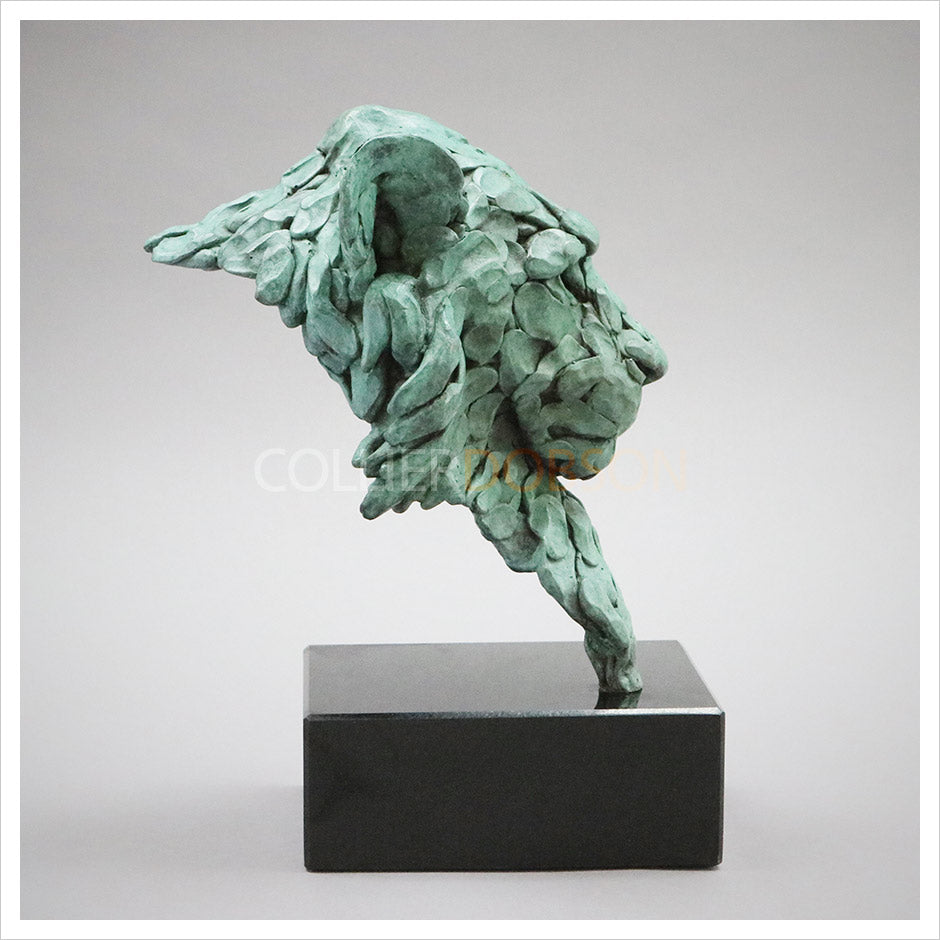 Lion Head by William Montgomery