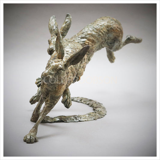 Running Hares by William Montgomery