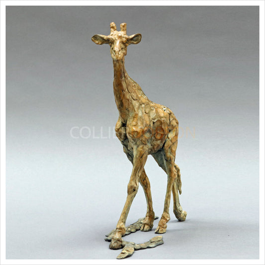 Giraffe by William Montgomery