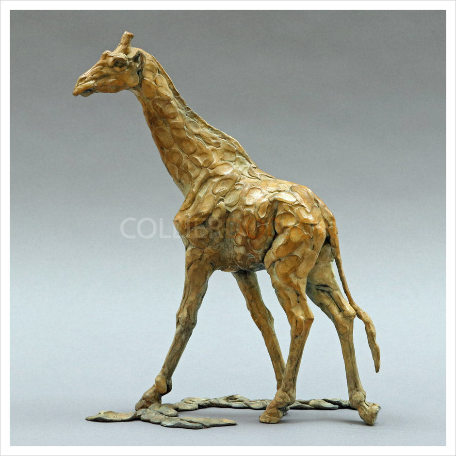 Giraffe by William Montgomery