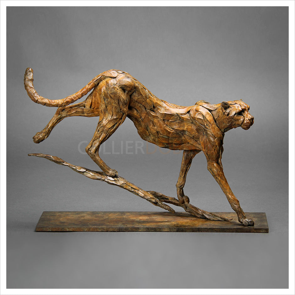 Cheetah by William Montgomery